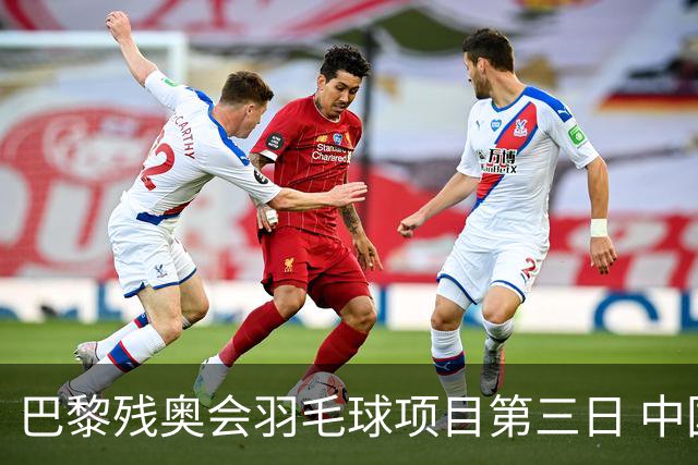 巴黎残奥会羽毛球项目第三日 中国队取得13胜3负